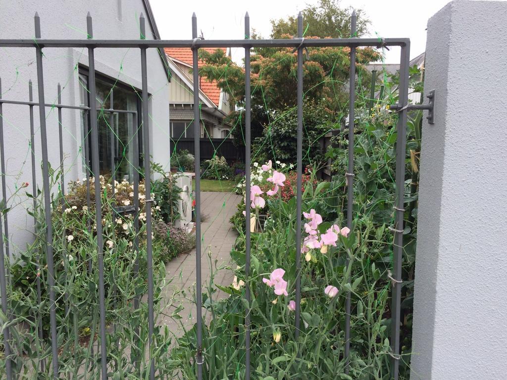 Garden Bed And Breakfast Christchurch Exteriér fotografie