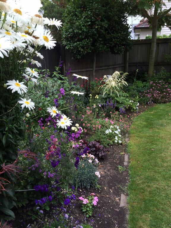 Garden Bed And Breakfast Christchurch Exteriér fotografie
