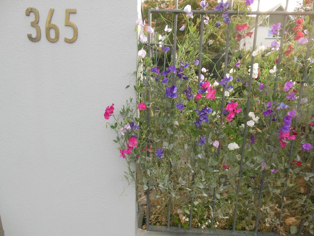 Garden Bed And Breakfast Christchurch Exteriér fotografie