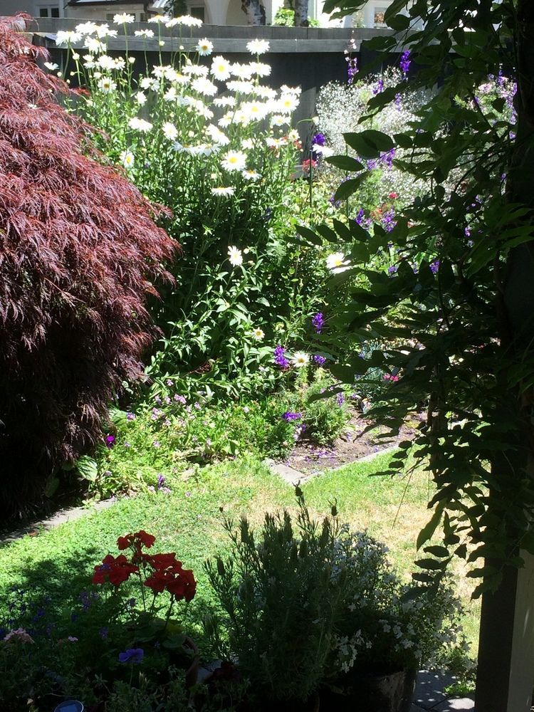 Garden Bed And Breakfast Christchurch Exteriér fotografie