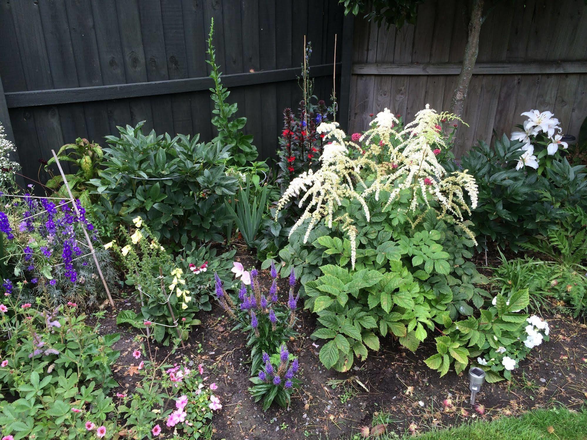 Garden Bed And Breakfast Christchurch Exteriér fotografie