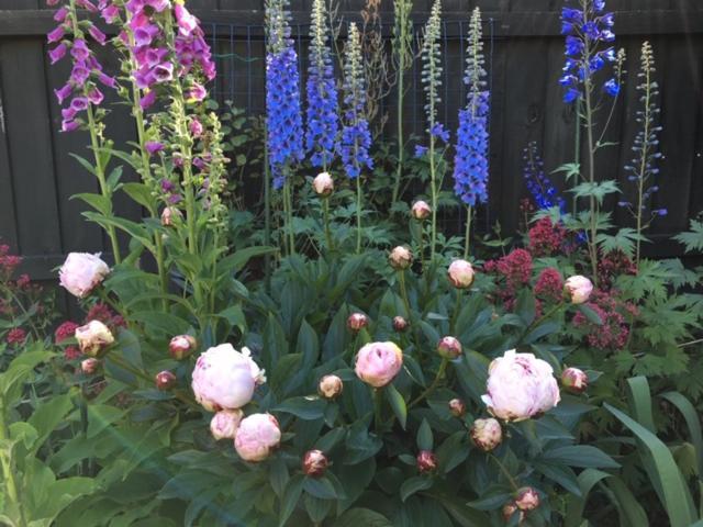 Garden Bed And Breakfast Christchurch Exteriér fotografie